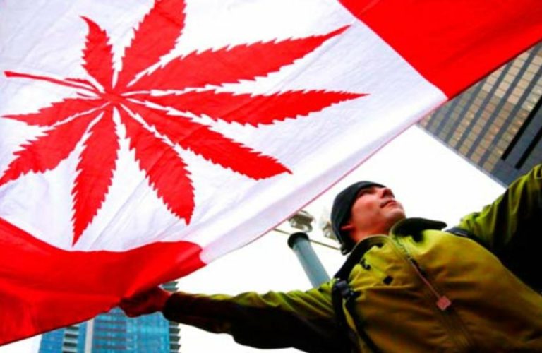 WeBitcoin: Companhia canadense desenvolverá plataforma de suprimentos baseada em Blockchain para indústria da maconha